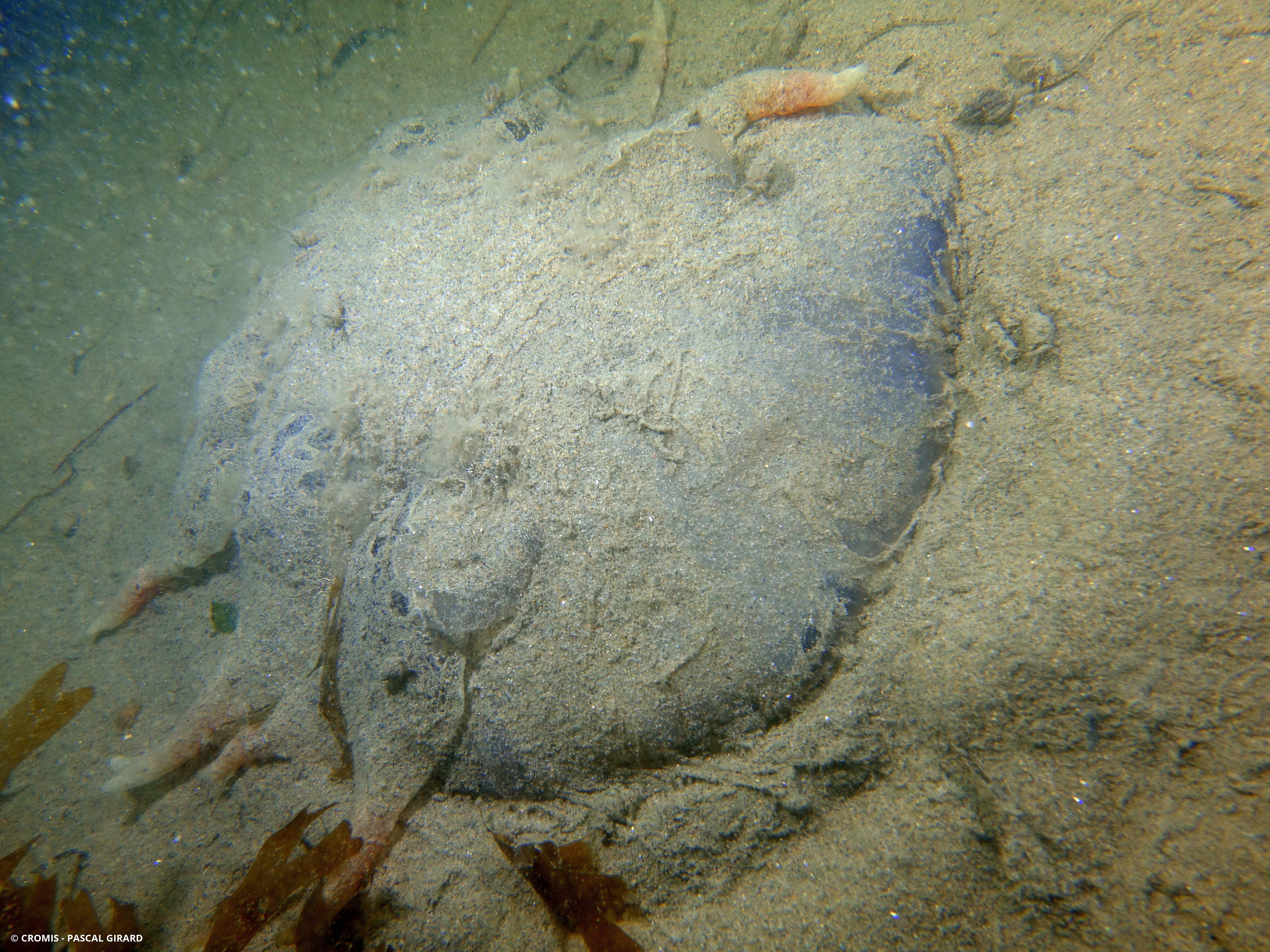Téthys