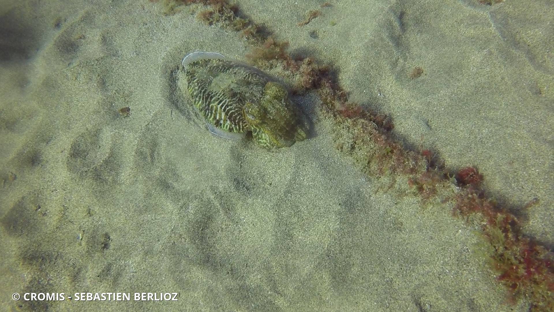 Seiche
