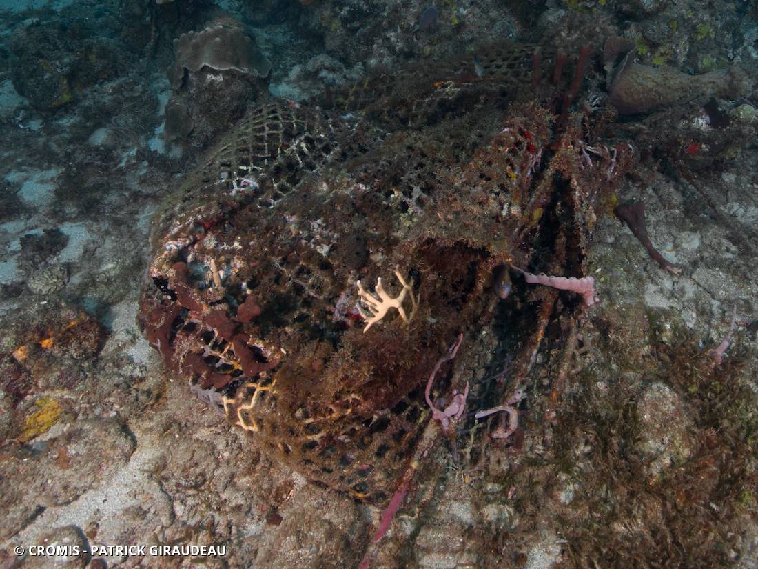 Nasse à poissons