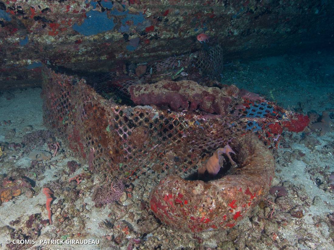 Nasse à poissons