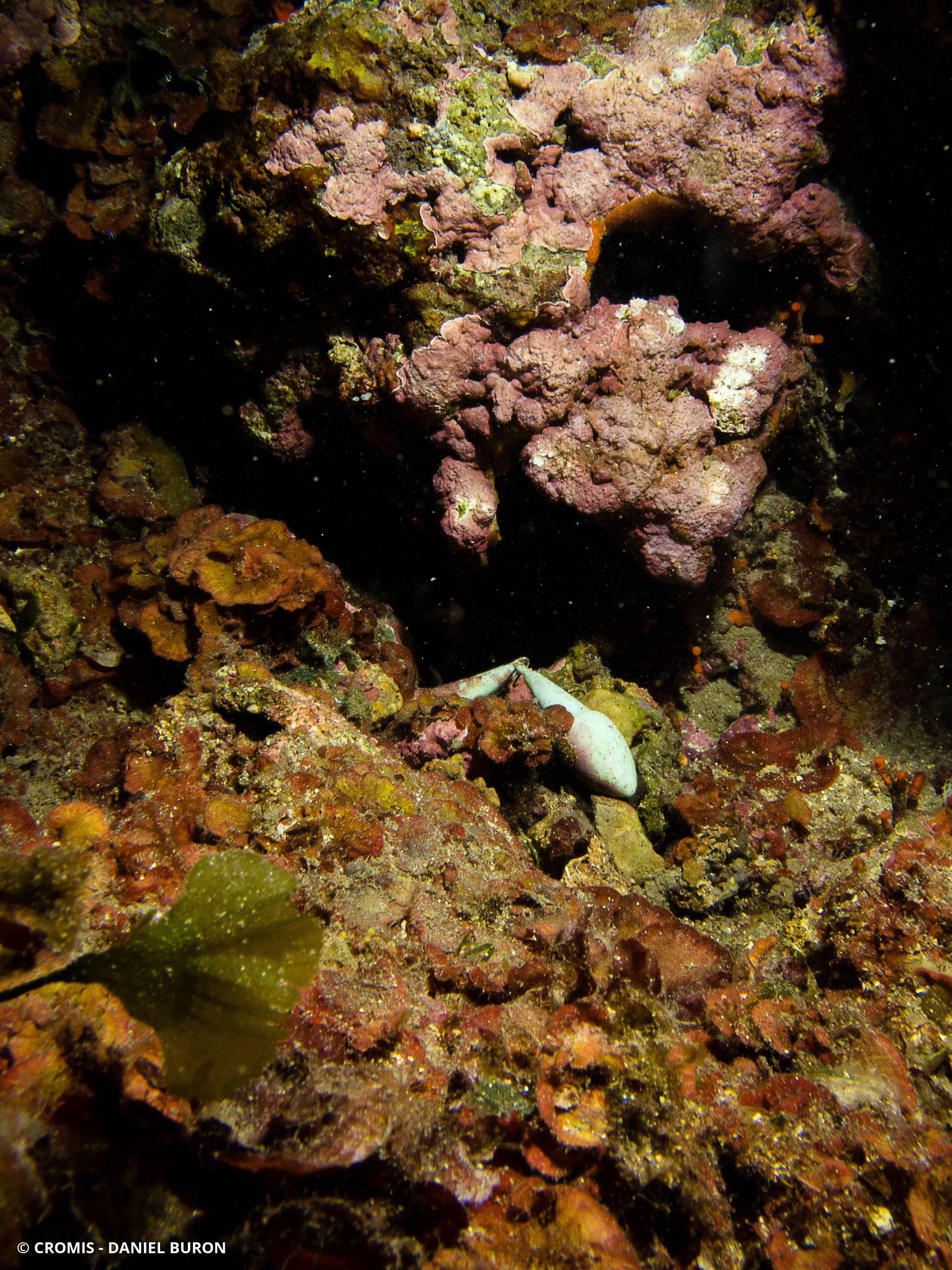 Plomb de pêche