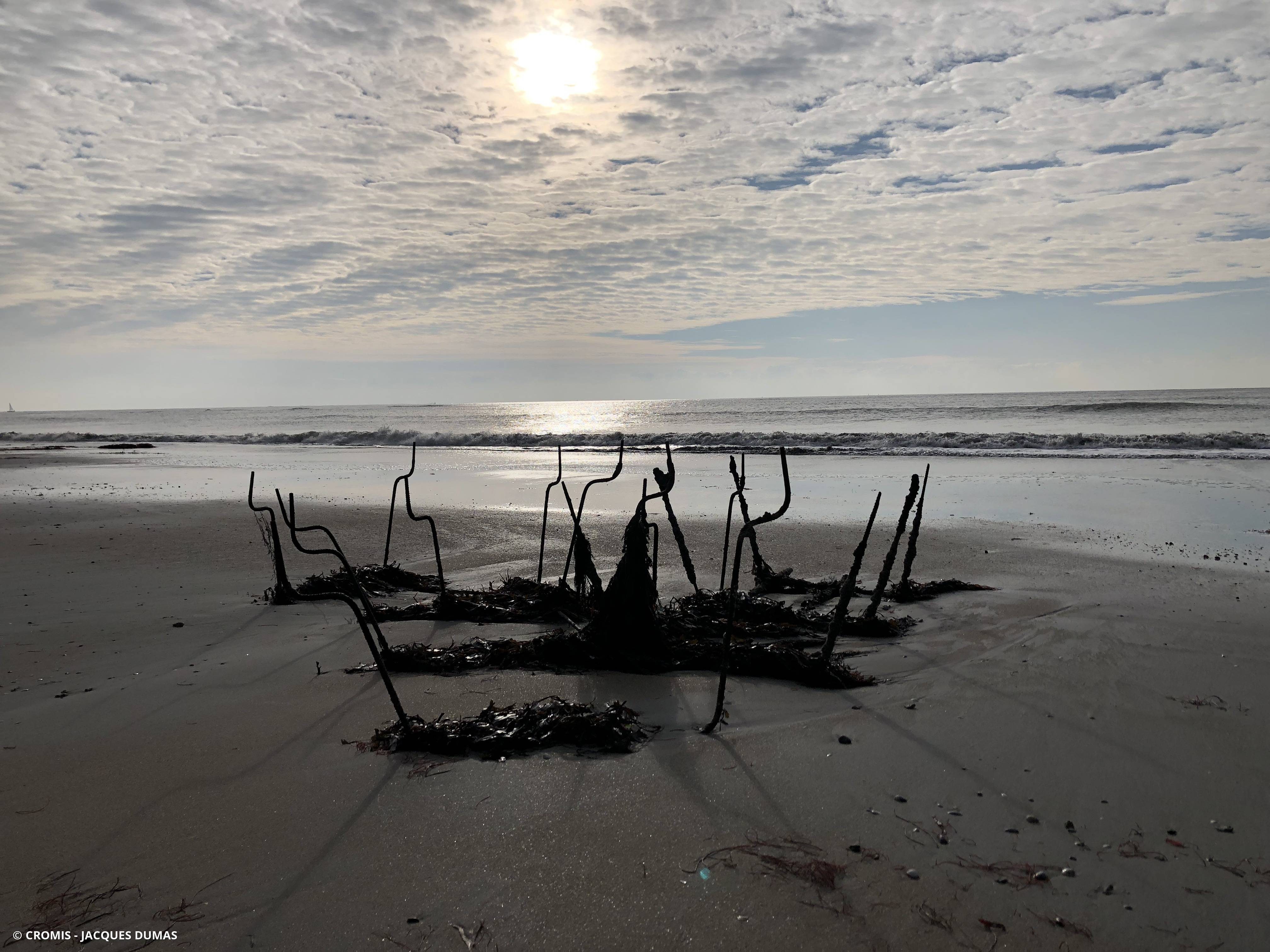Autres engins de pêche