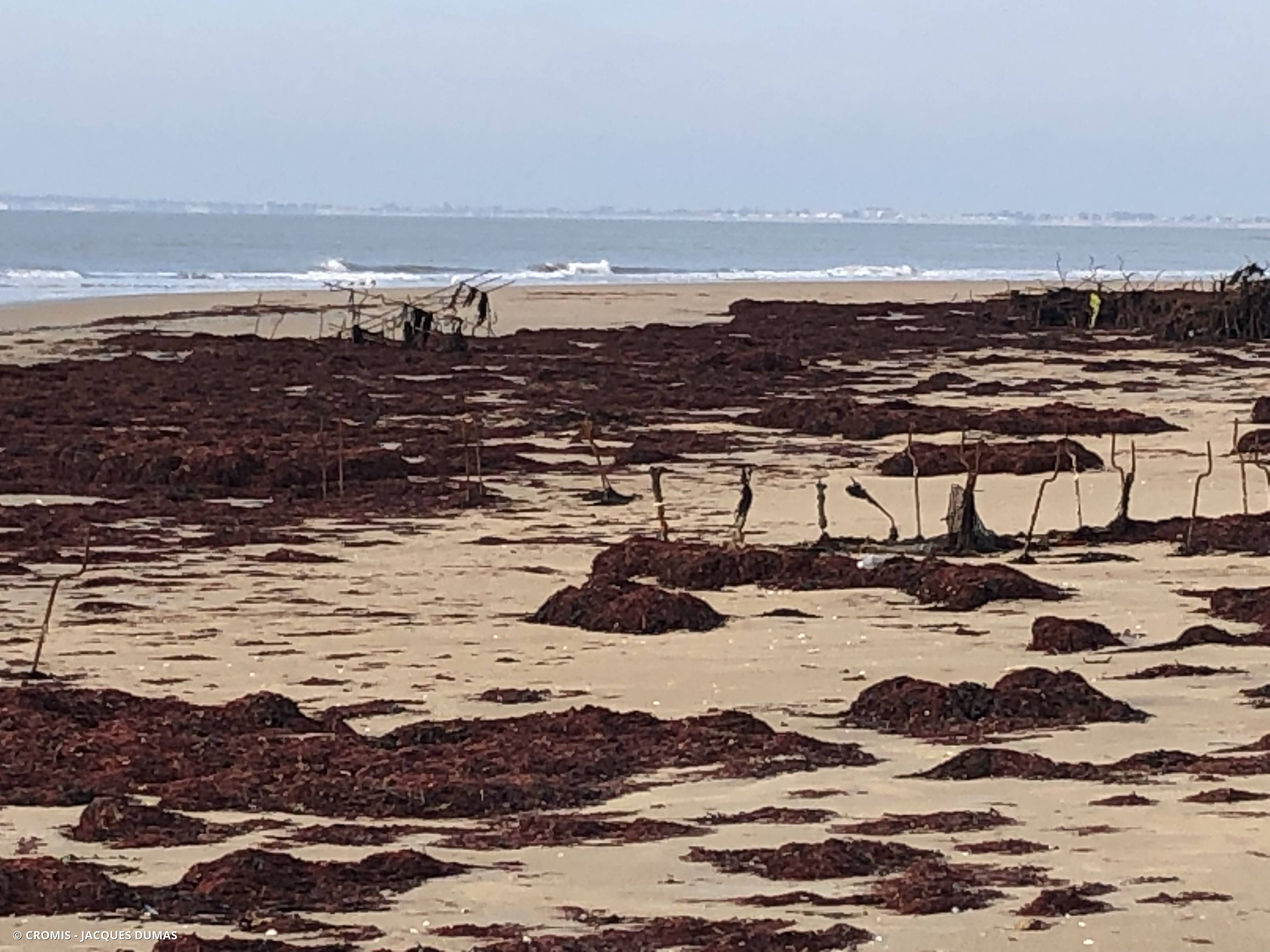 Autres engins de pêche