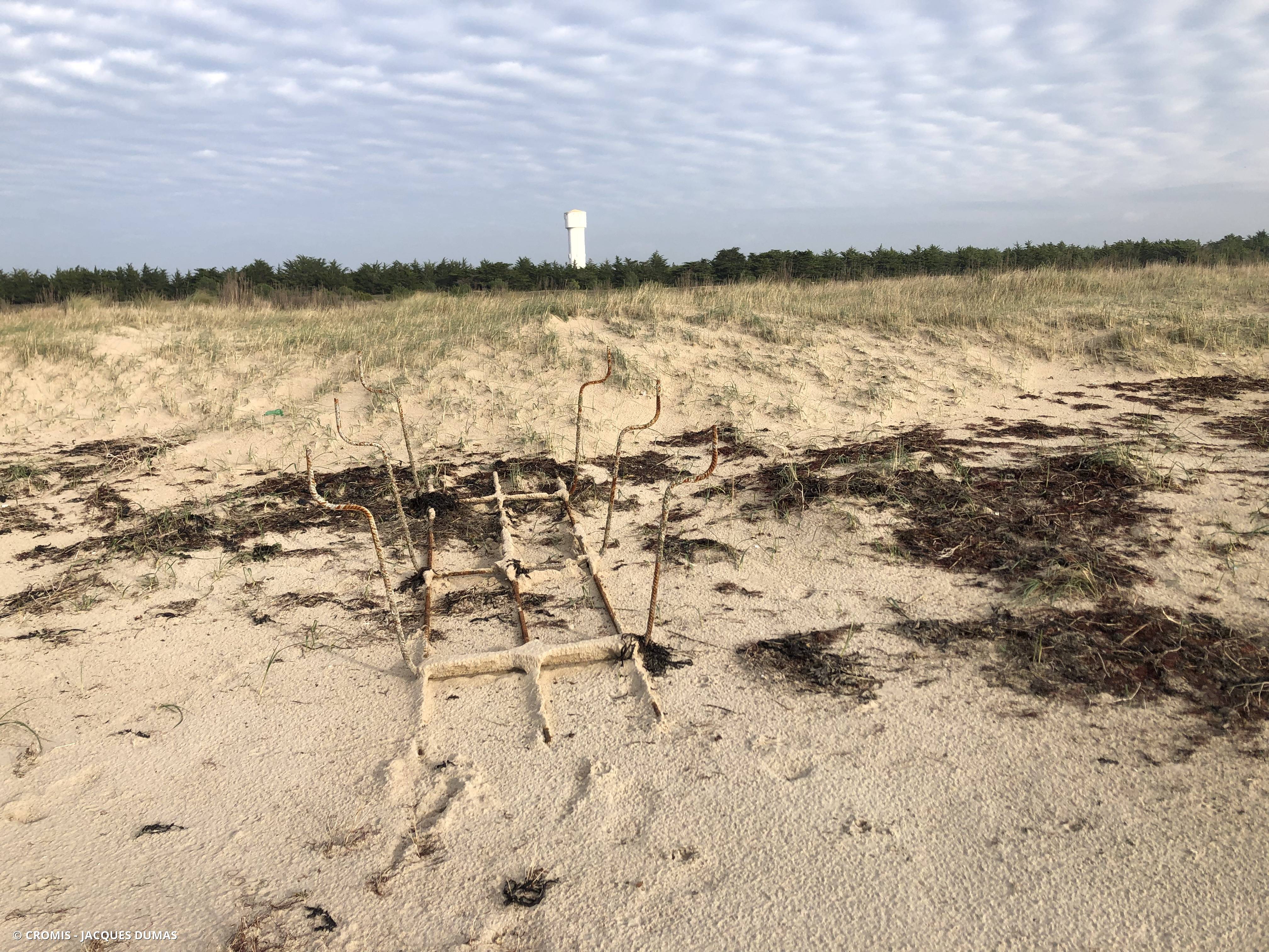 Autres engins de pêche