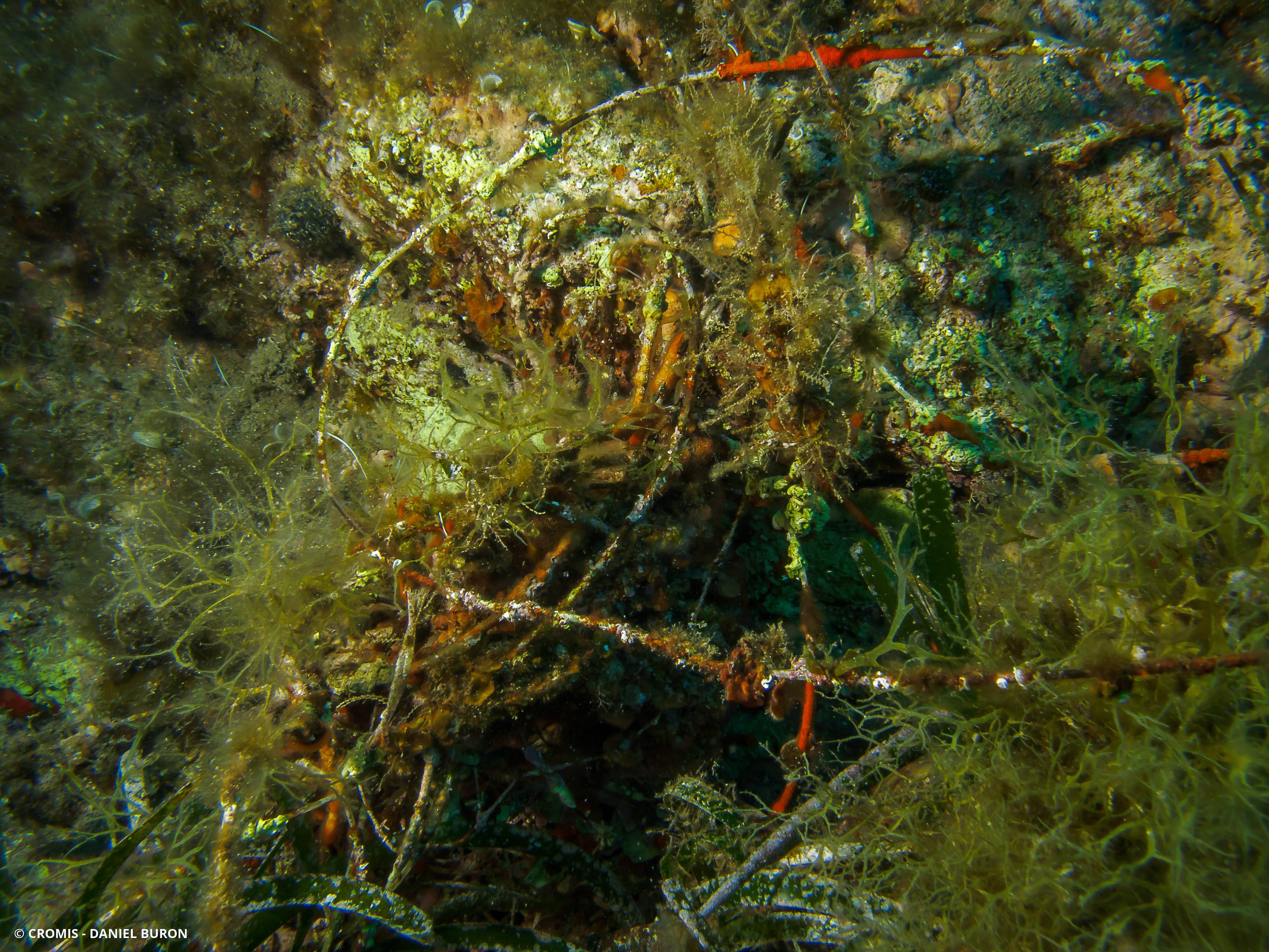 Fil de pêche