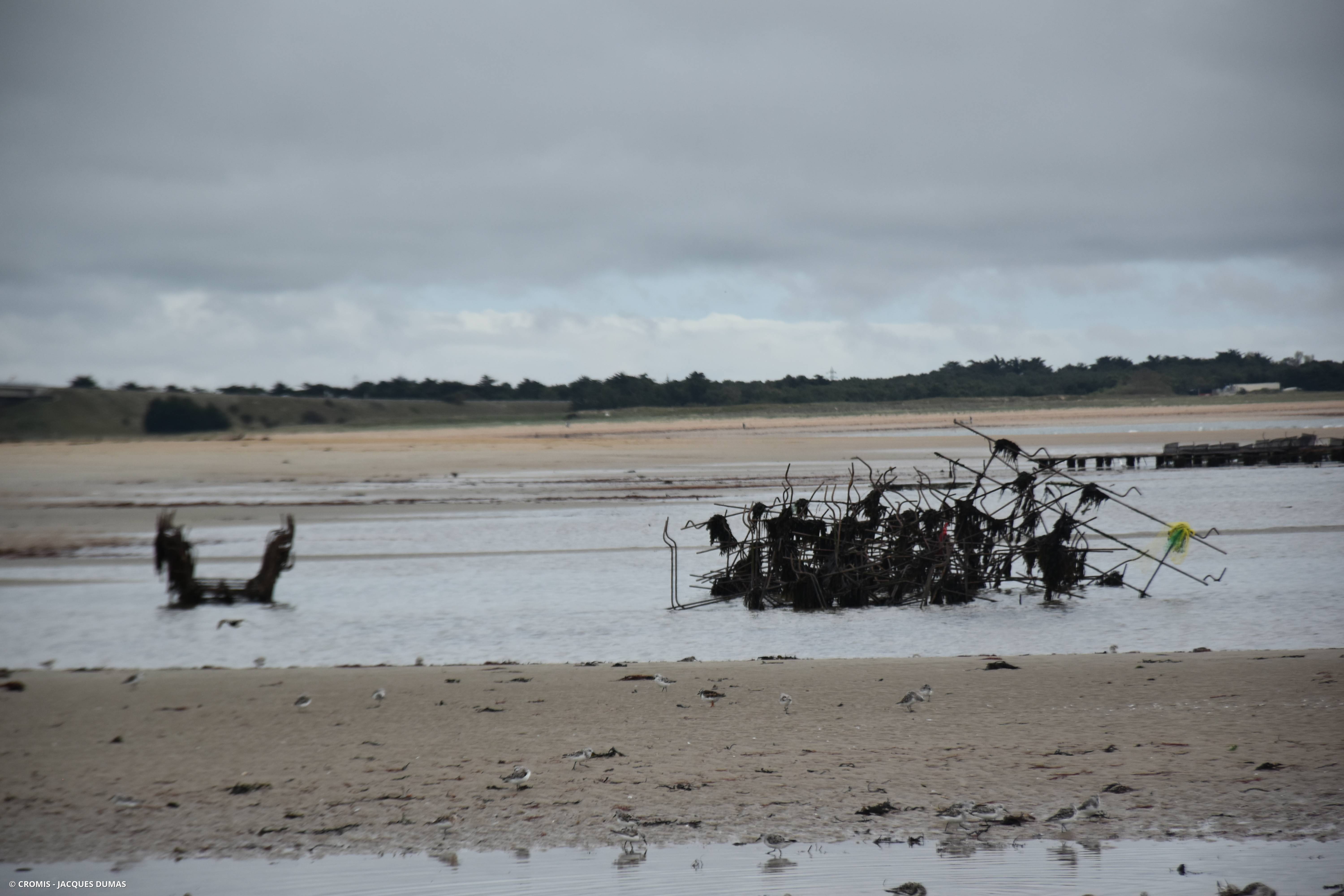 Autres engins de pêche