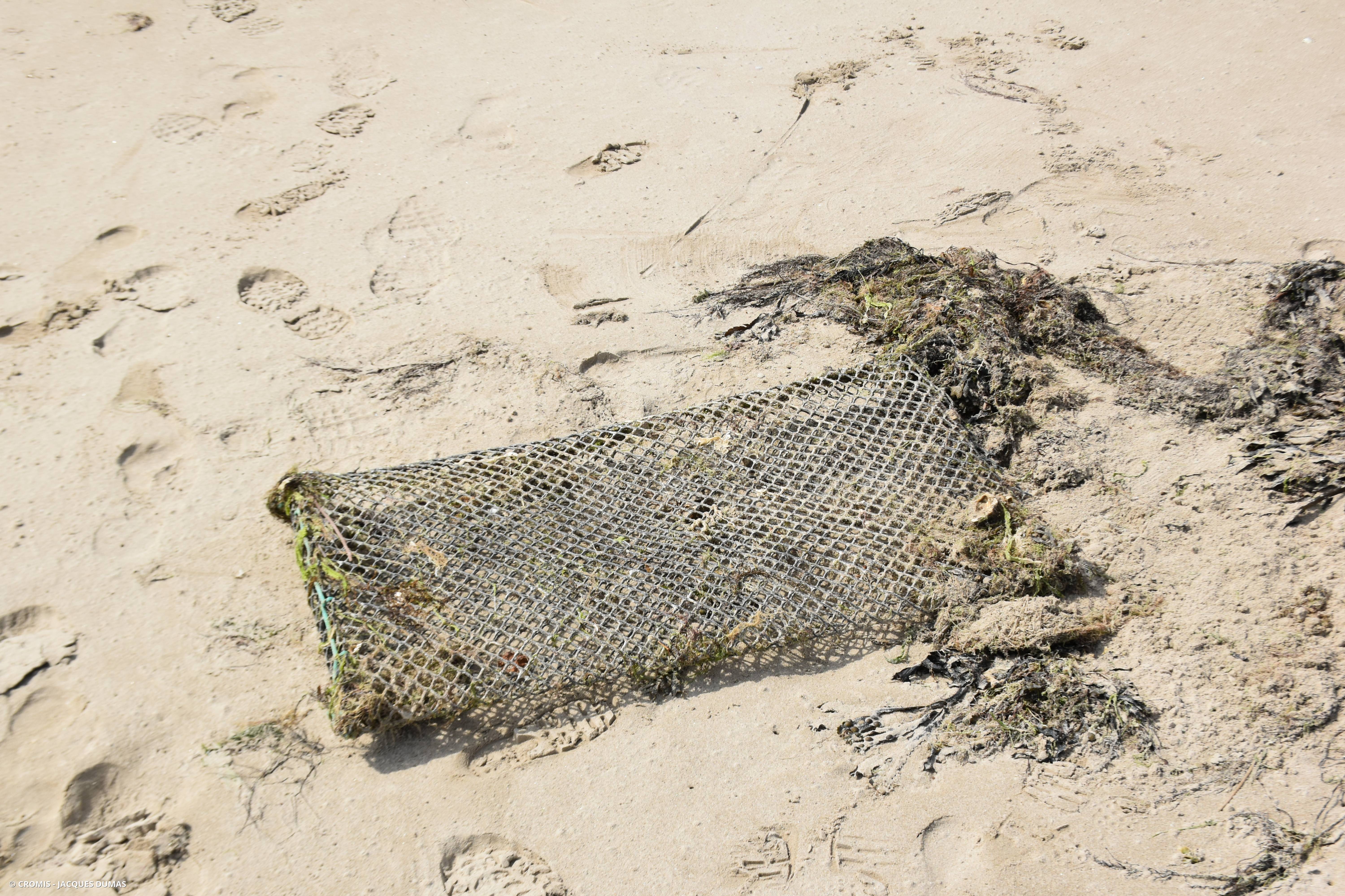 Autres engins de pêche
