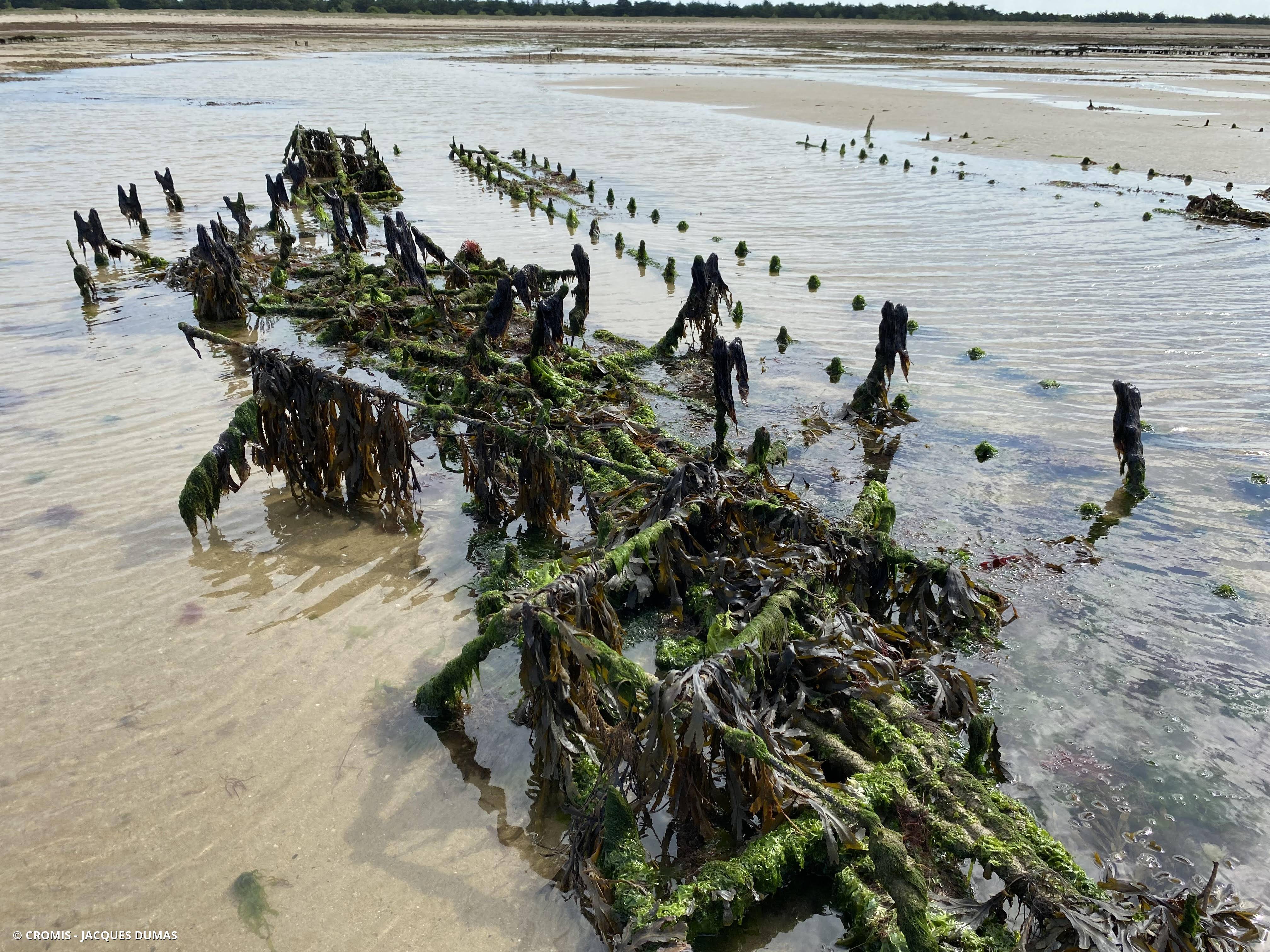 Autres engins de pêche