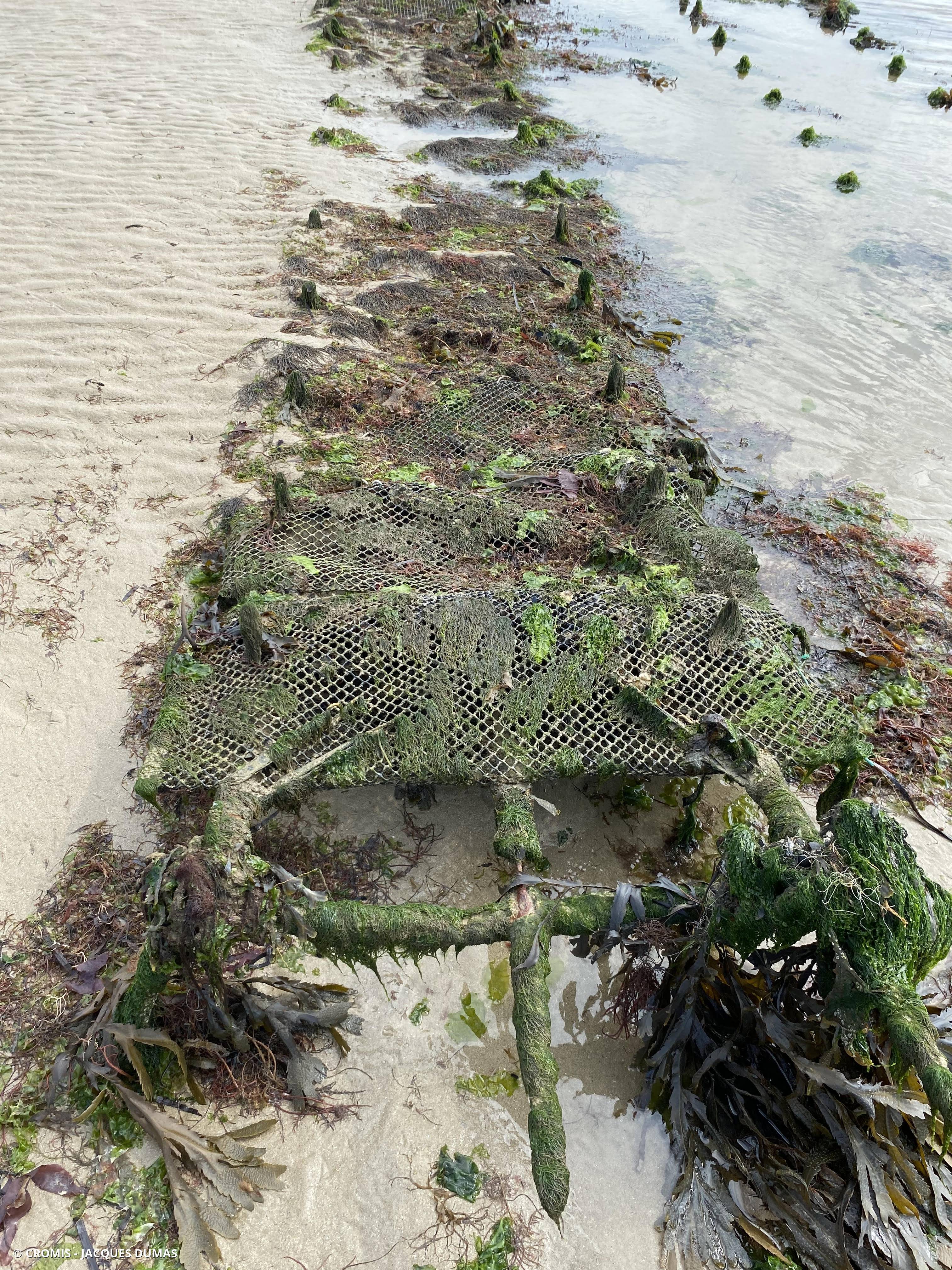 Autres engins de pêche