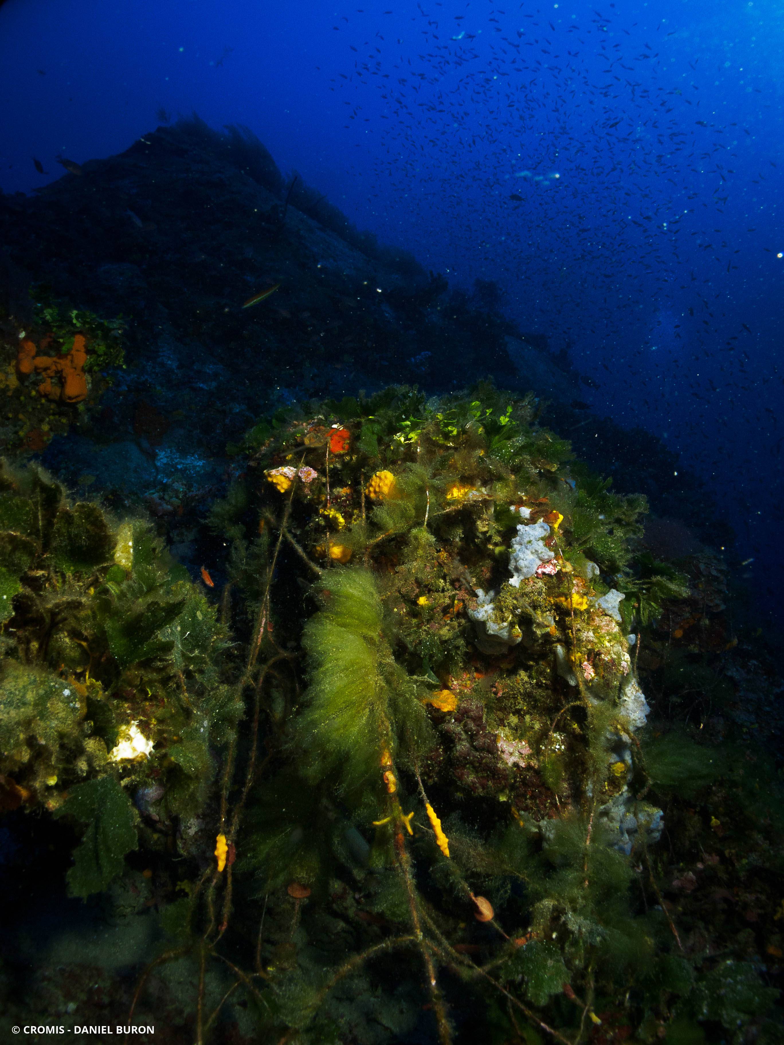 Fil de pêche