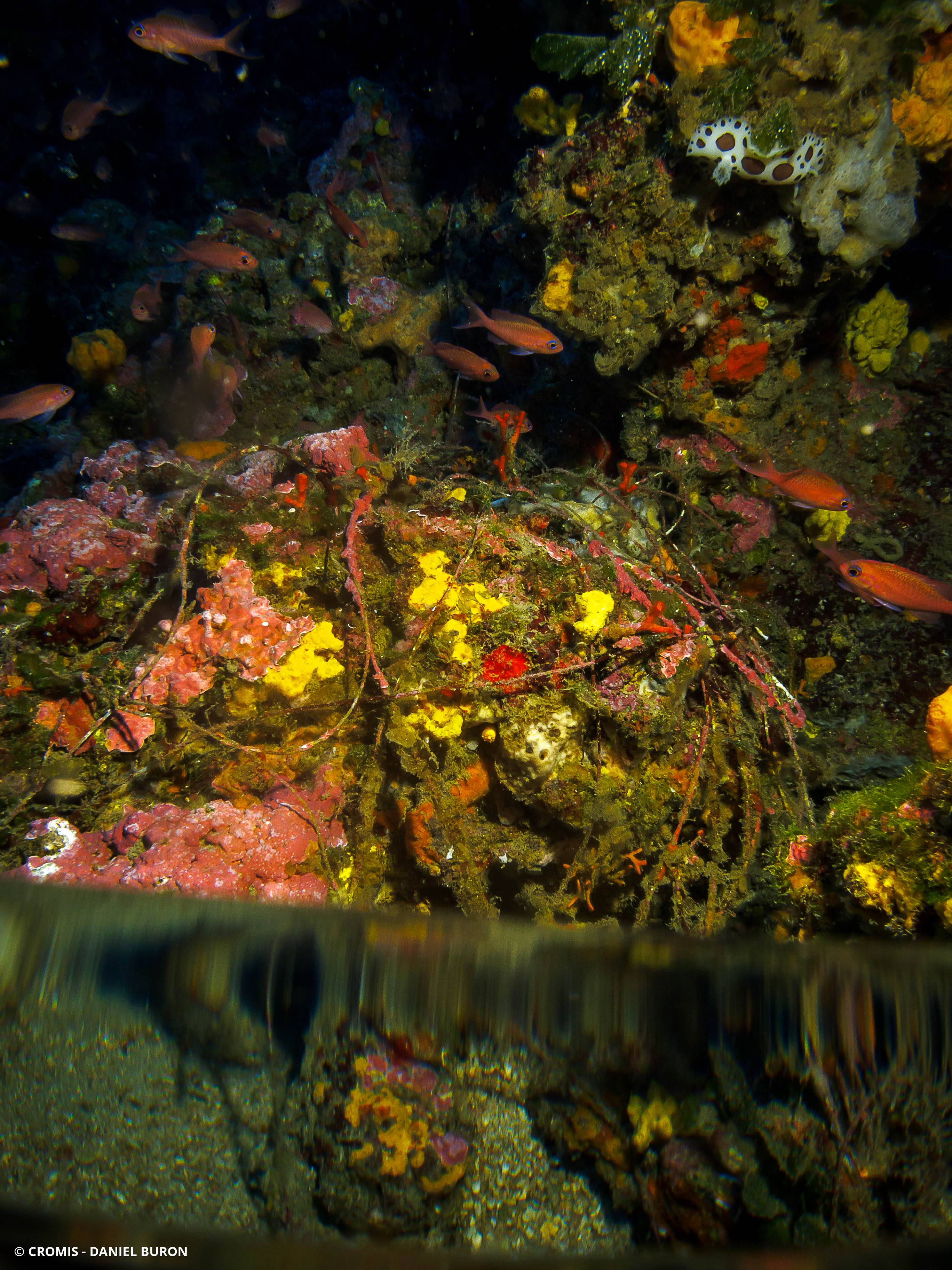 Fil de pêche