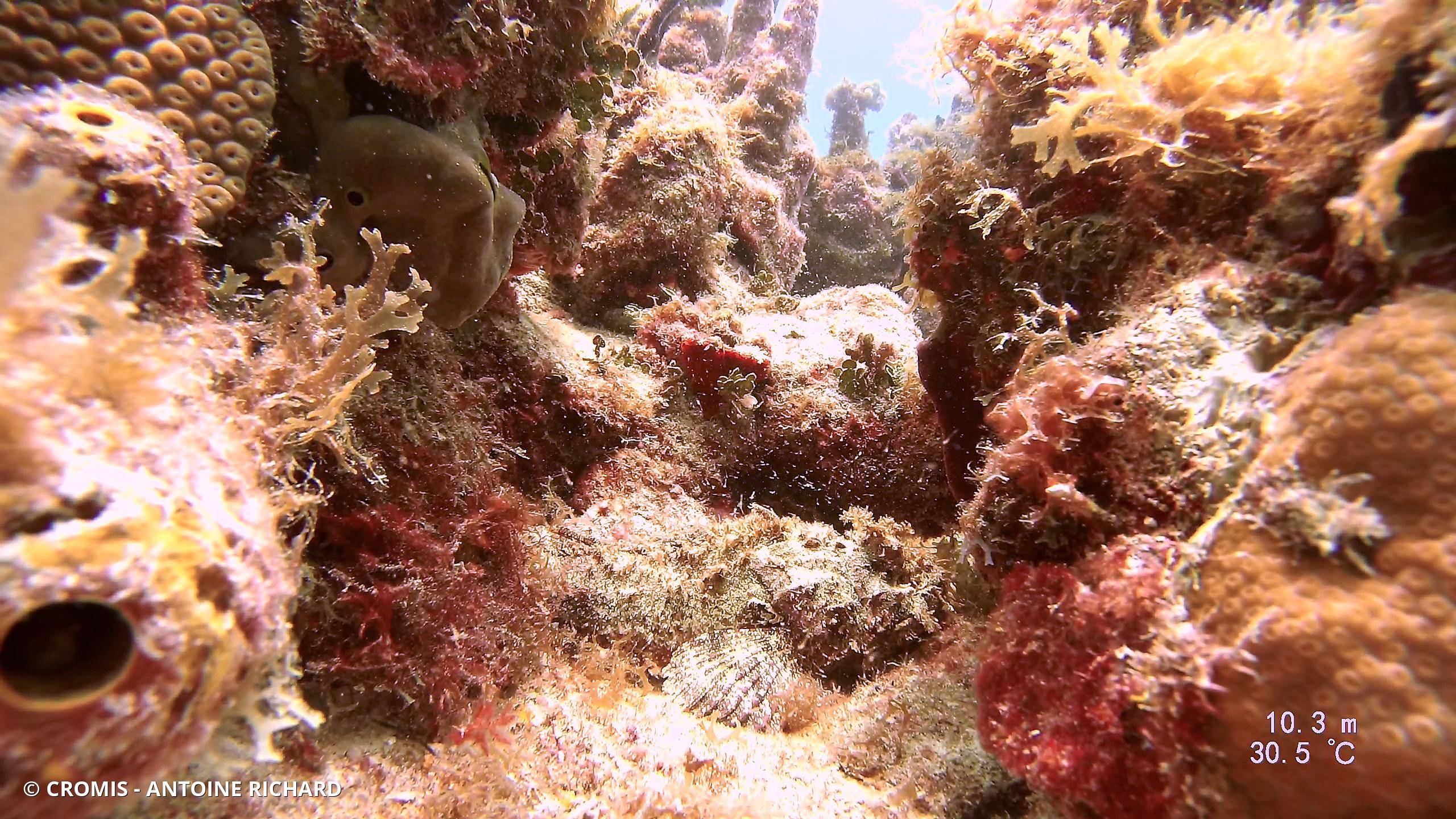 Vingt-quatre heures
