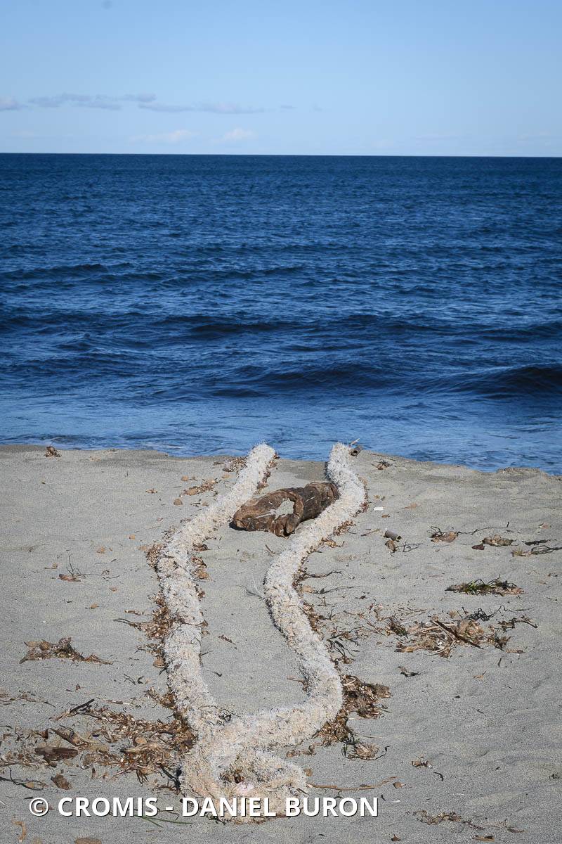 Cordage > 5mm diamètre