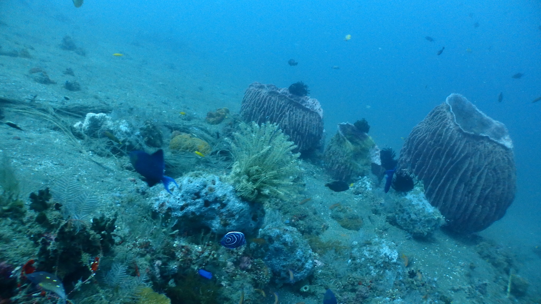 Image 1 sur 2
