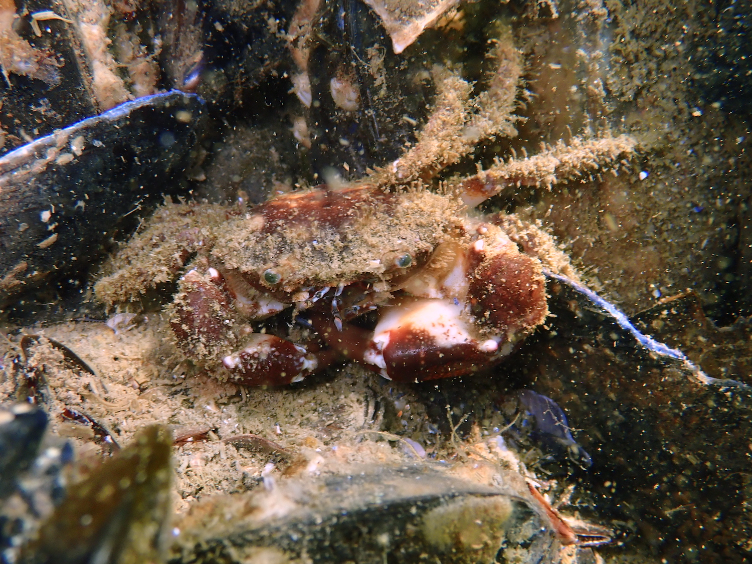 Image 1 sur 1