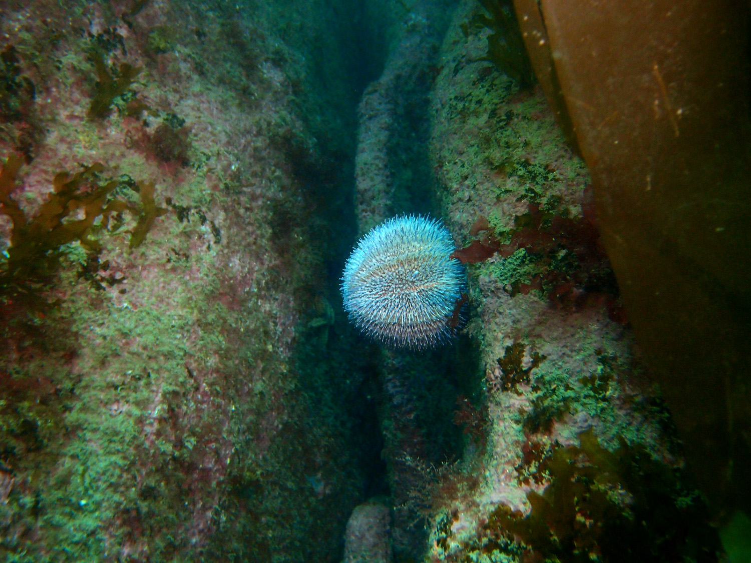 Image 7 sur 11