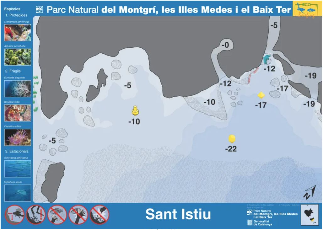 Image 1 sur 1