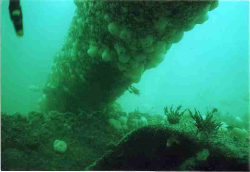 Image 3 sur 11