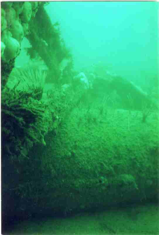 Image 4 sur 11