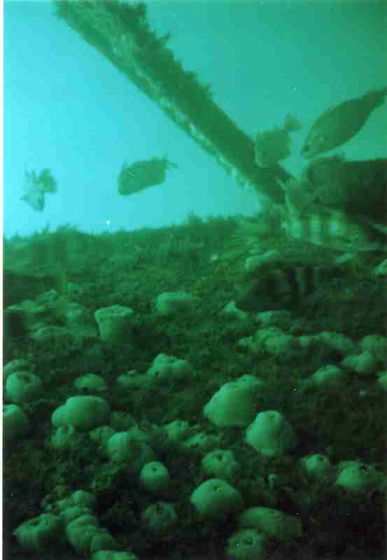Image 6 sur 11