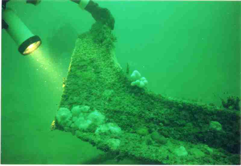 Image 7 sur 11