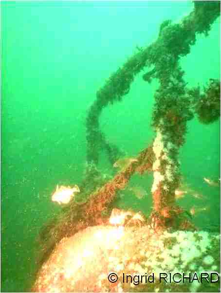 Image 1 sur 17