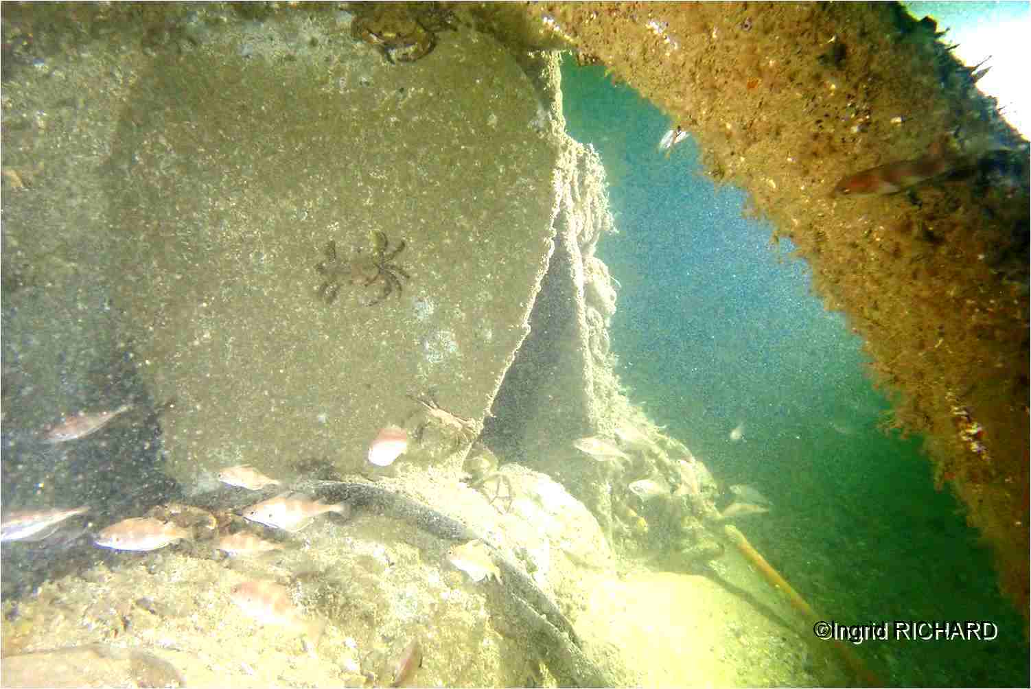 Image 6 sur 17