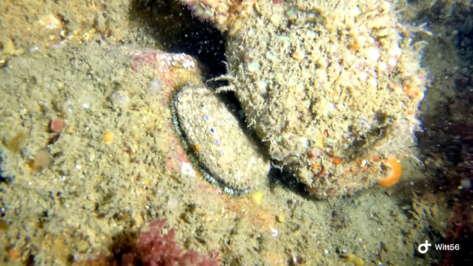 Image 6 sur 9