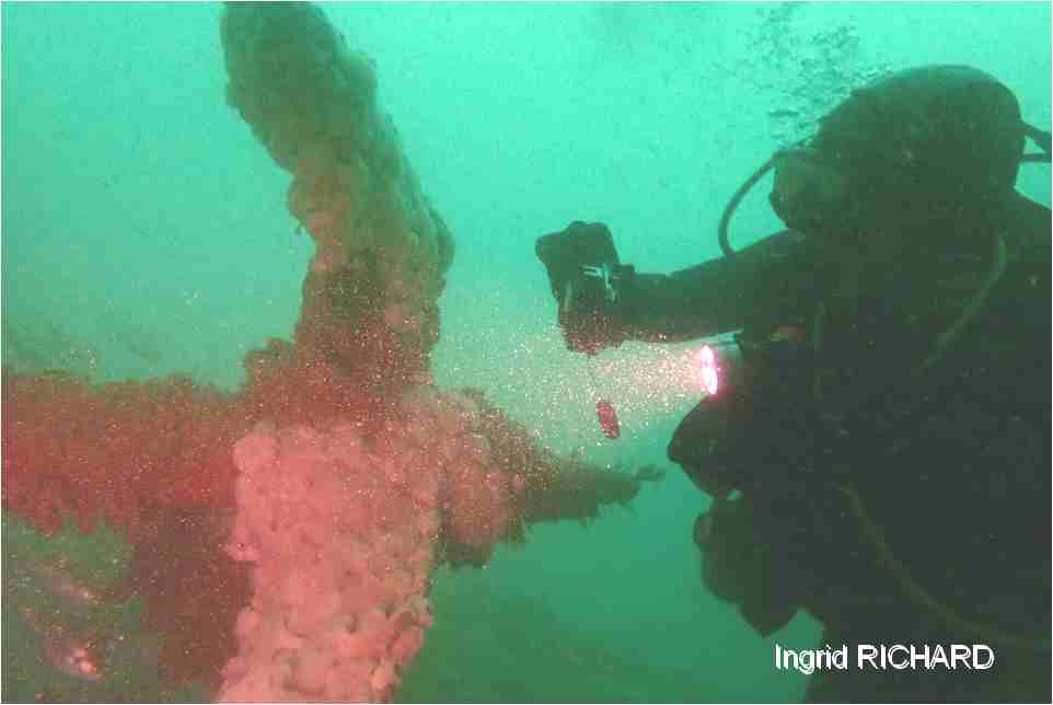 Image 1 sur 8
