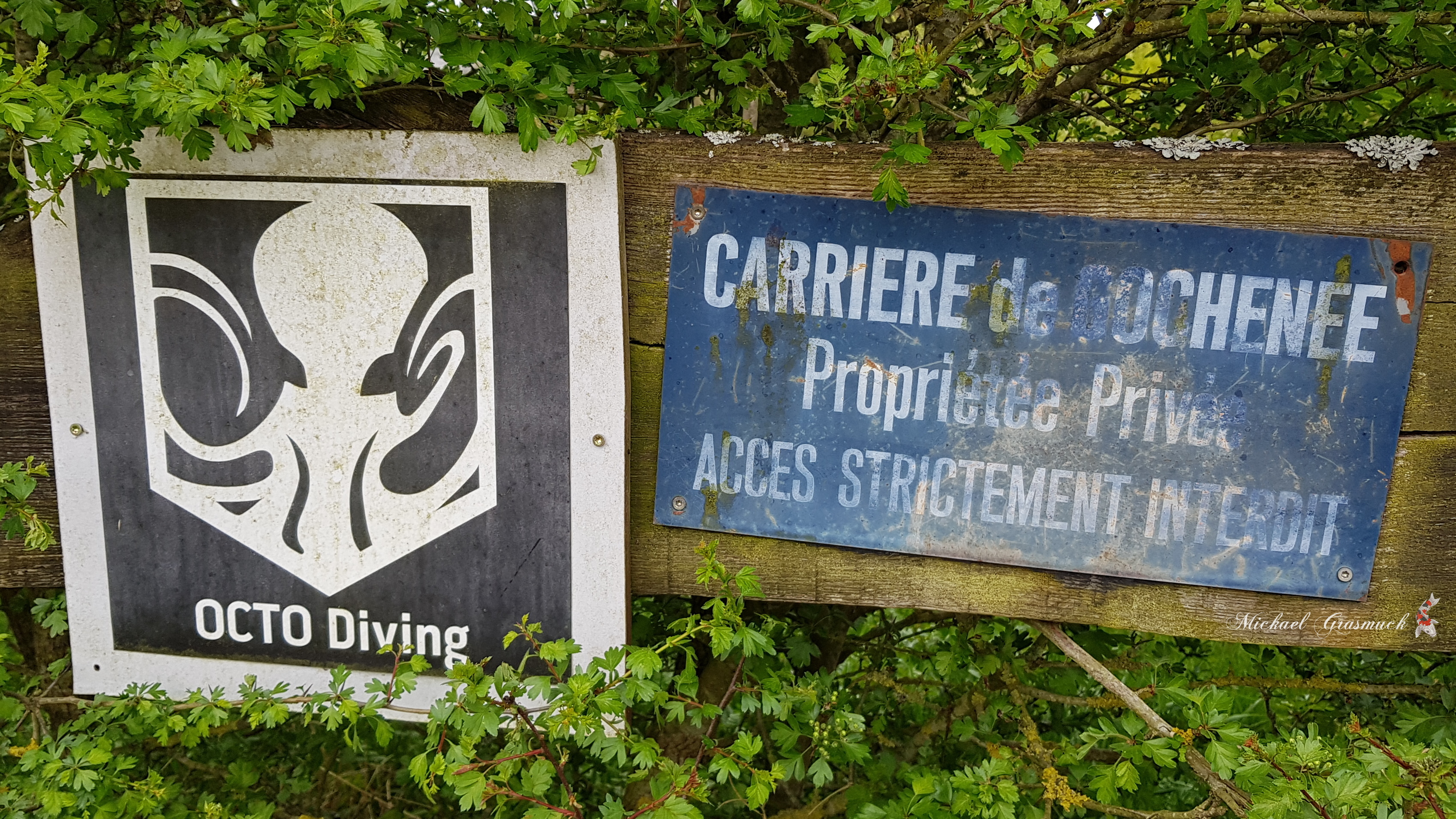 Image 1 sur 4