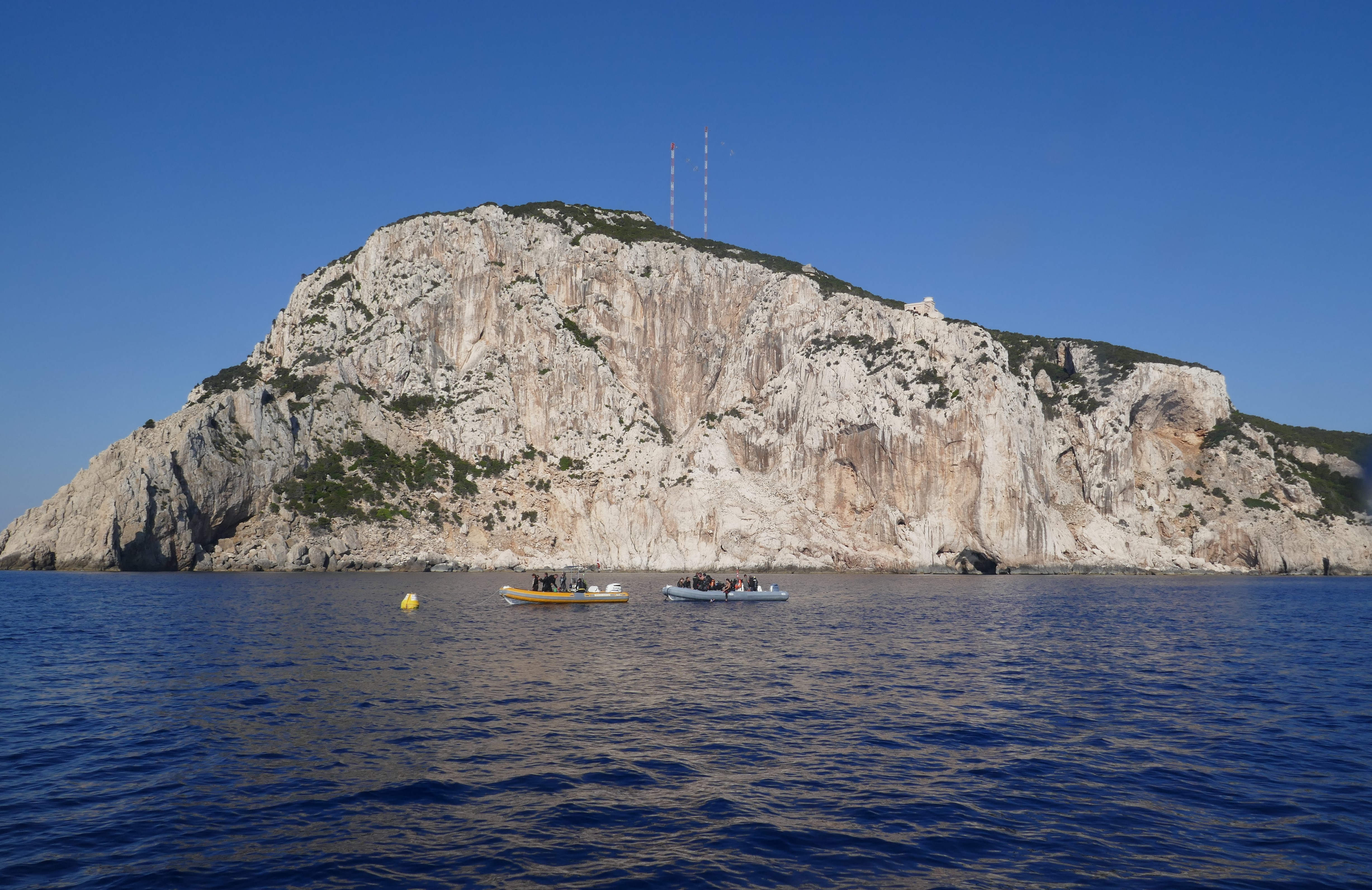 Image 1 sur 1