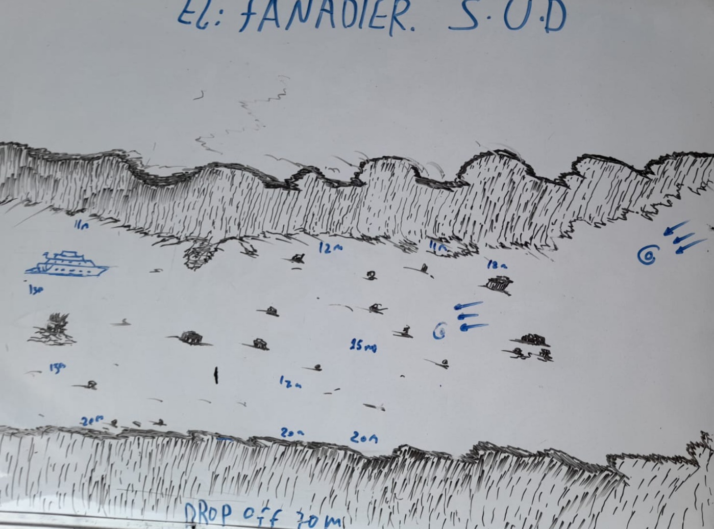 Image 1 sur 1