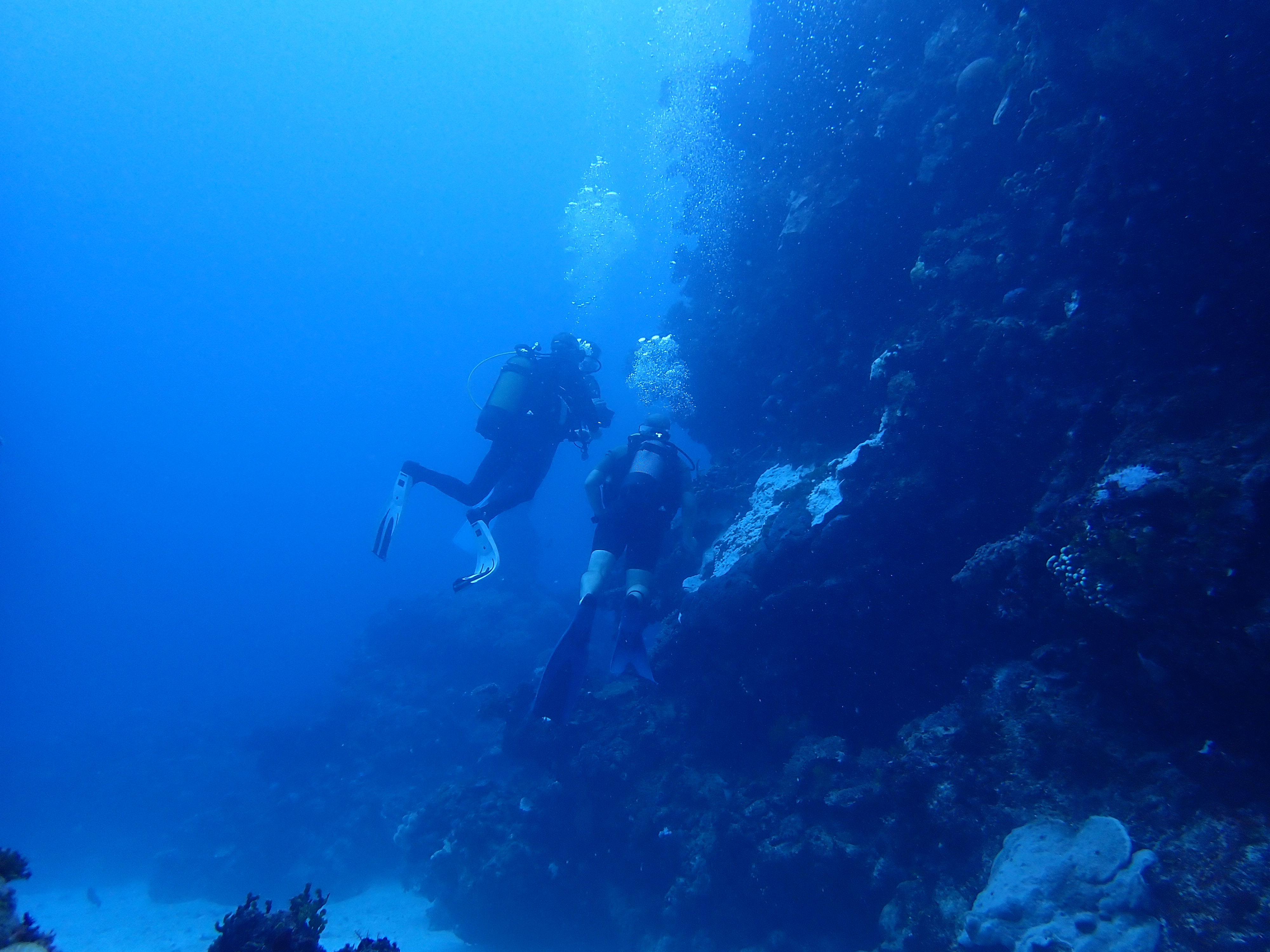 Image 1 sur 2