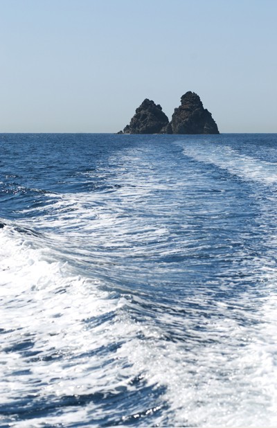 Image 1 sur 1