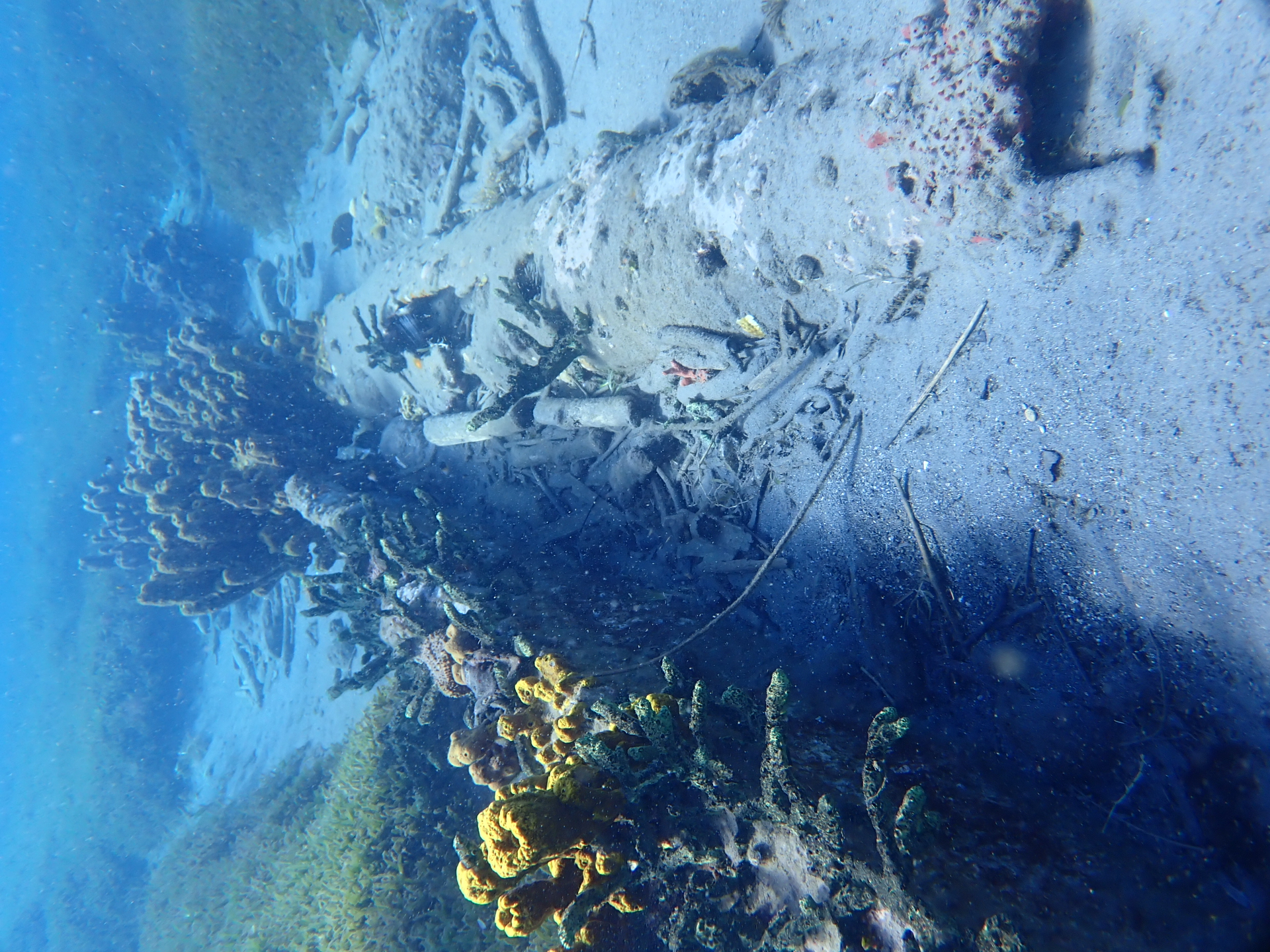 Image 1 sur 2