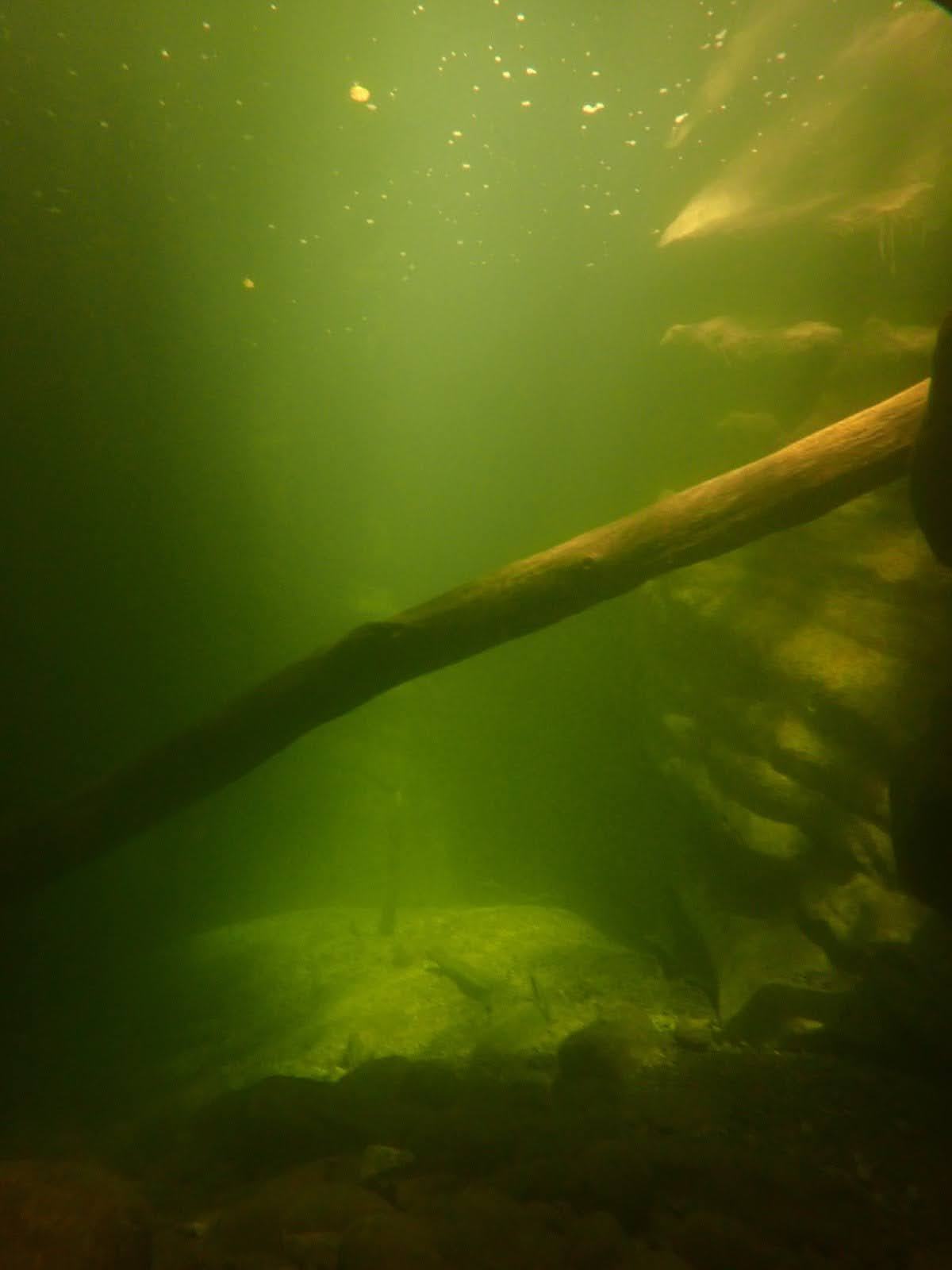 Image 2 sur 2