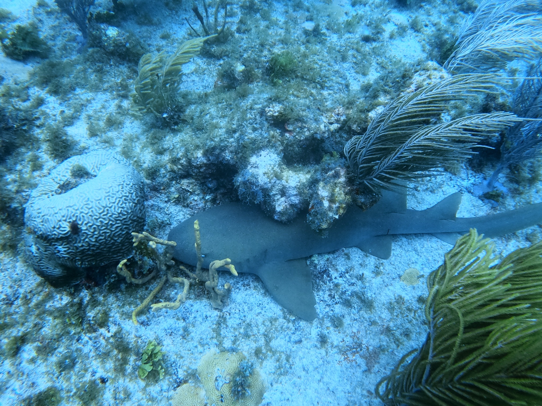 Image 2 sur 2