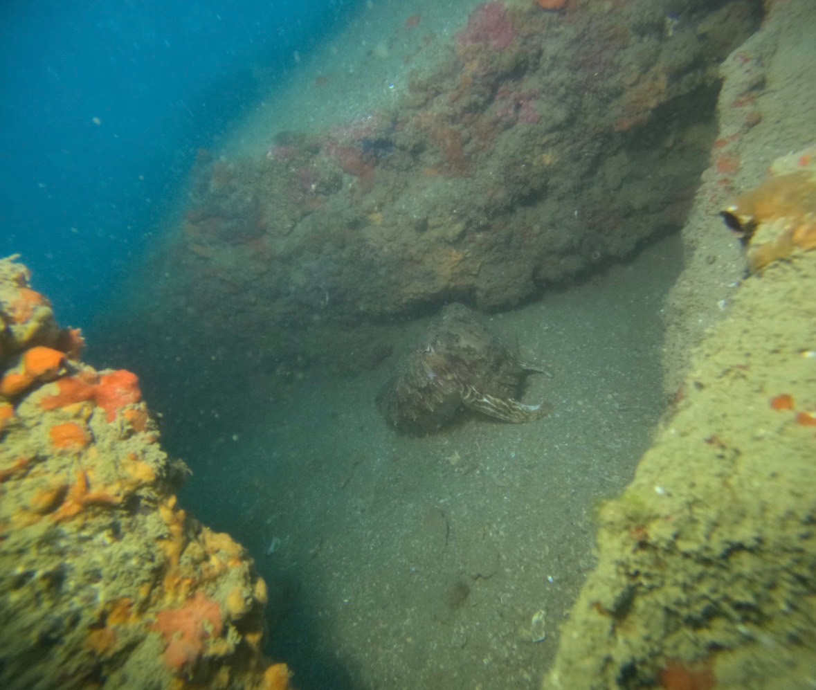 Image 2 sur 4