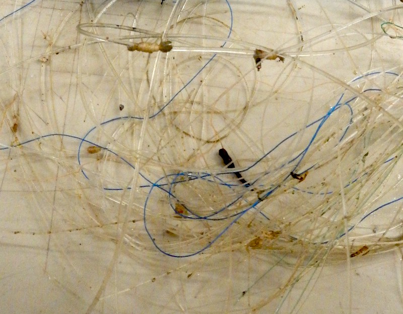 Fil de pêche