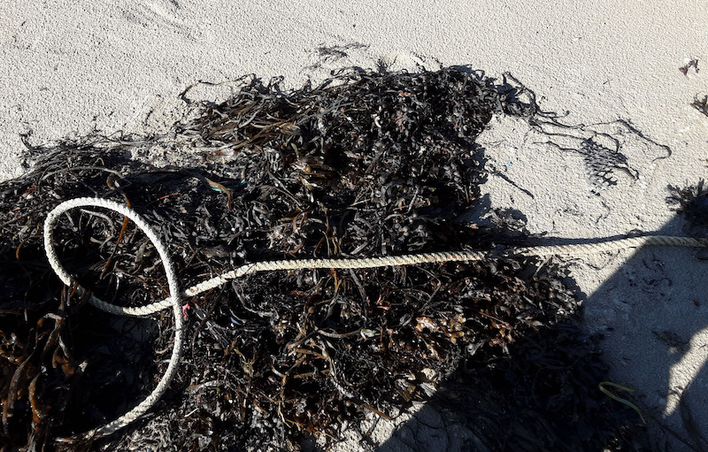 Cordage > 5mm diamètre